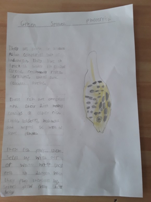 20200428_160228 Noah