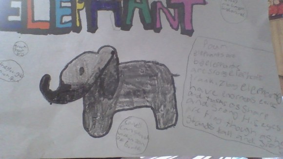 Elephant